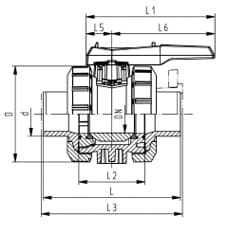 PVDF OF 雙由任球閥 FKM